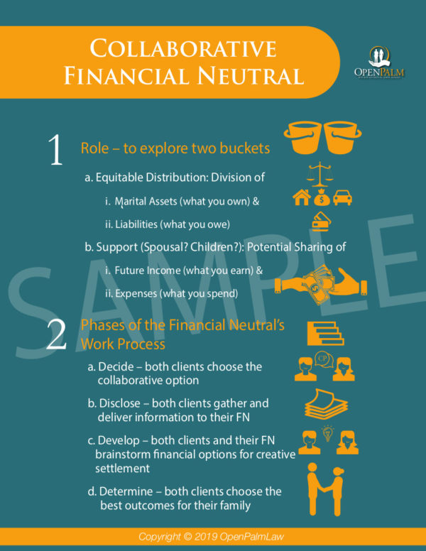 The Collaborative Financial Neutral